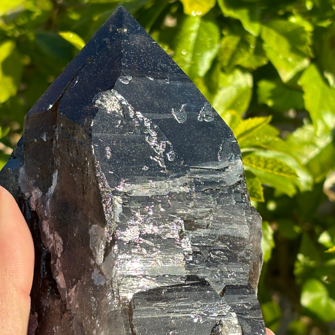 Smoky Quartz Point - A Grade - Large
