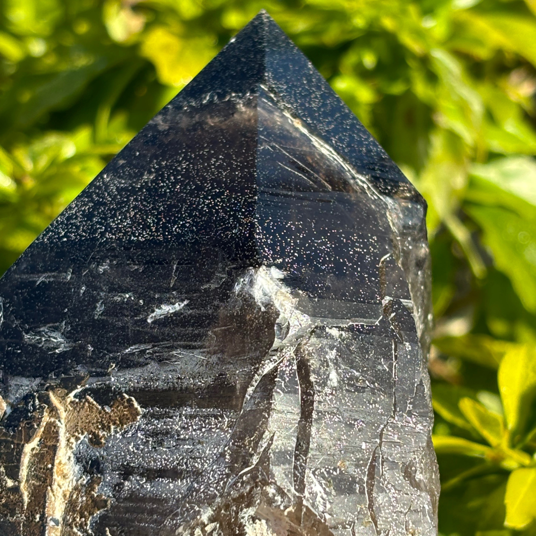 Smoky Quartz Point - A Grade