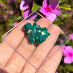 Dioptase Specimen