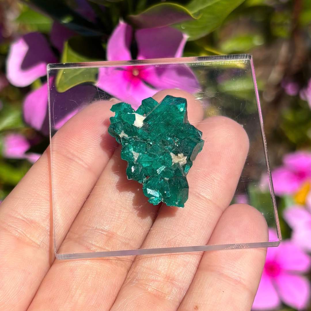 Dioptase Specimen