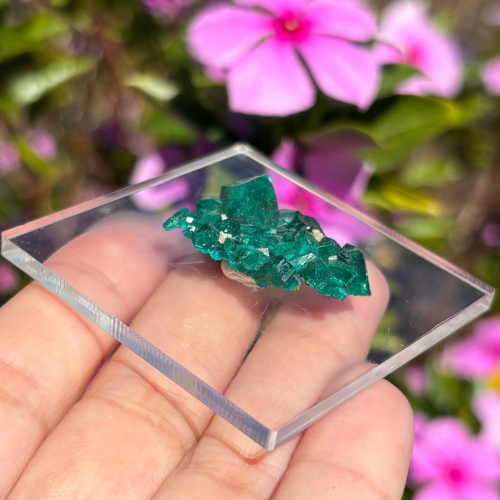 Dioptase Specimen