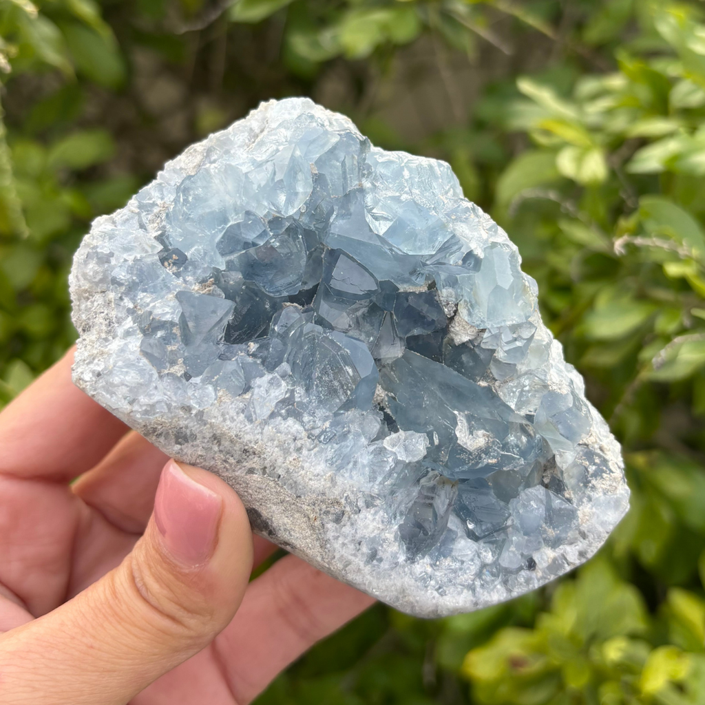 Celestite (aka Celestine) Specimen