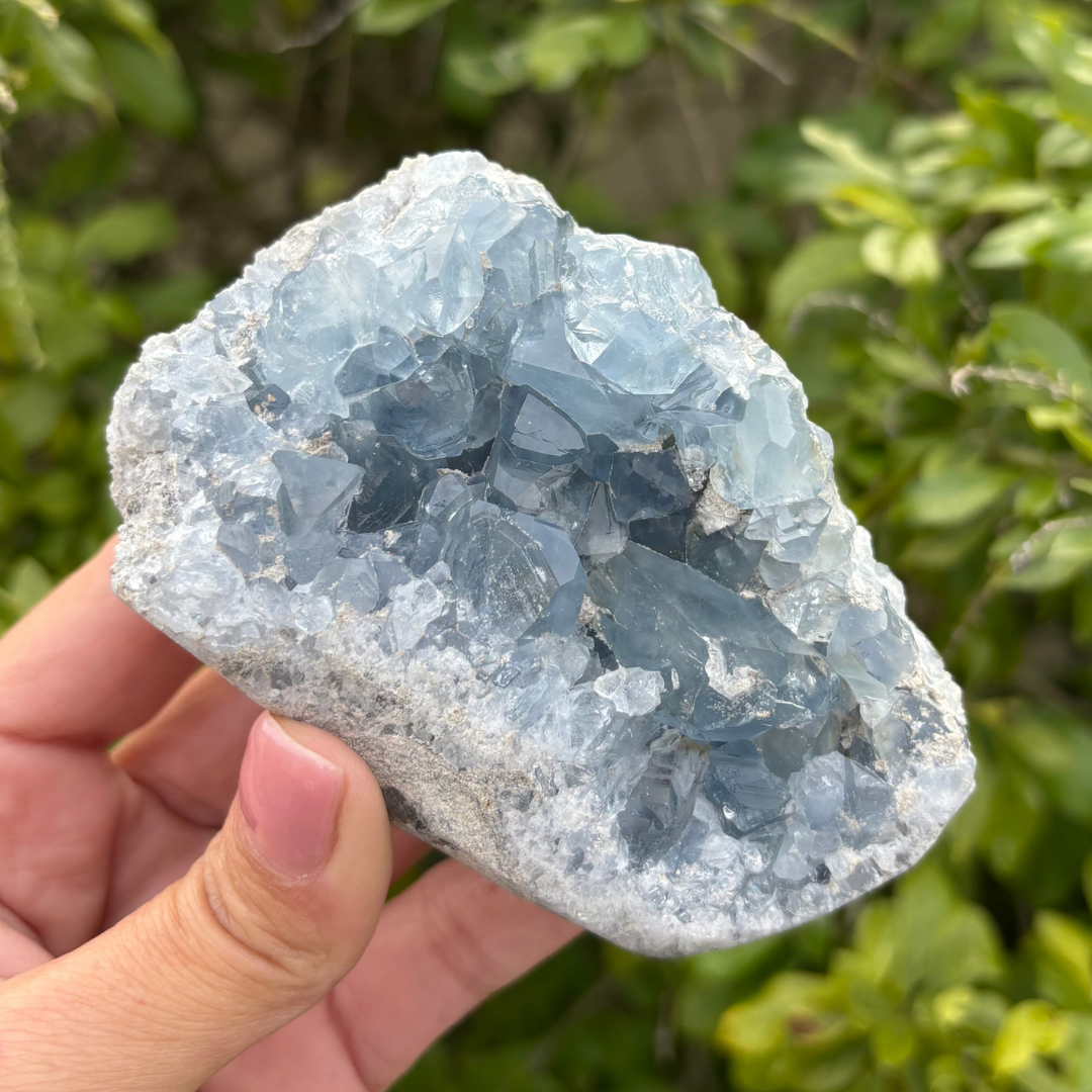 Celestite (aka Celestine) Specimen