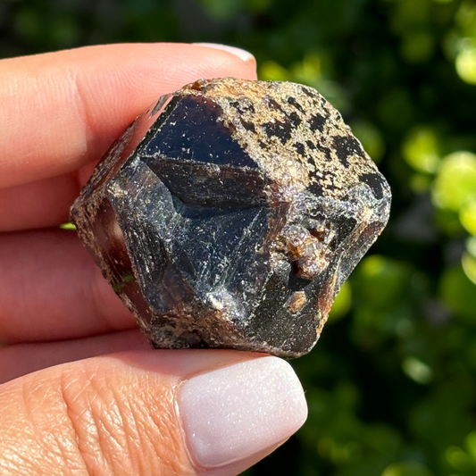 Black Garnet (Melanite) var. Andradite