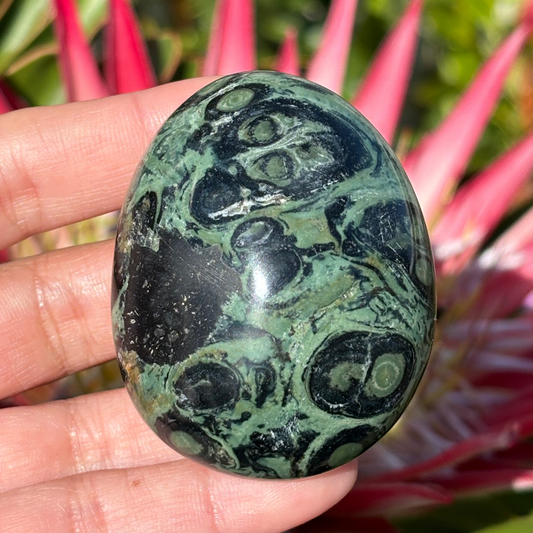 Kabamba/Kambaba Jasper Palm Stone