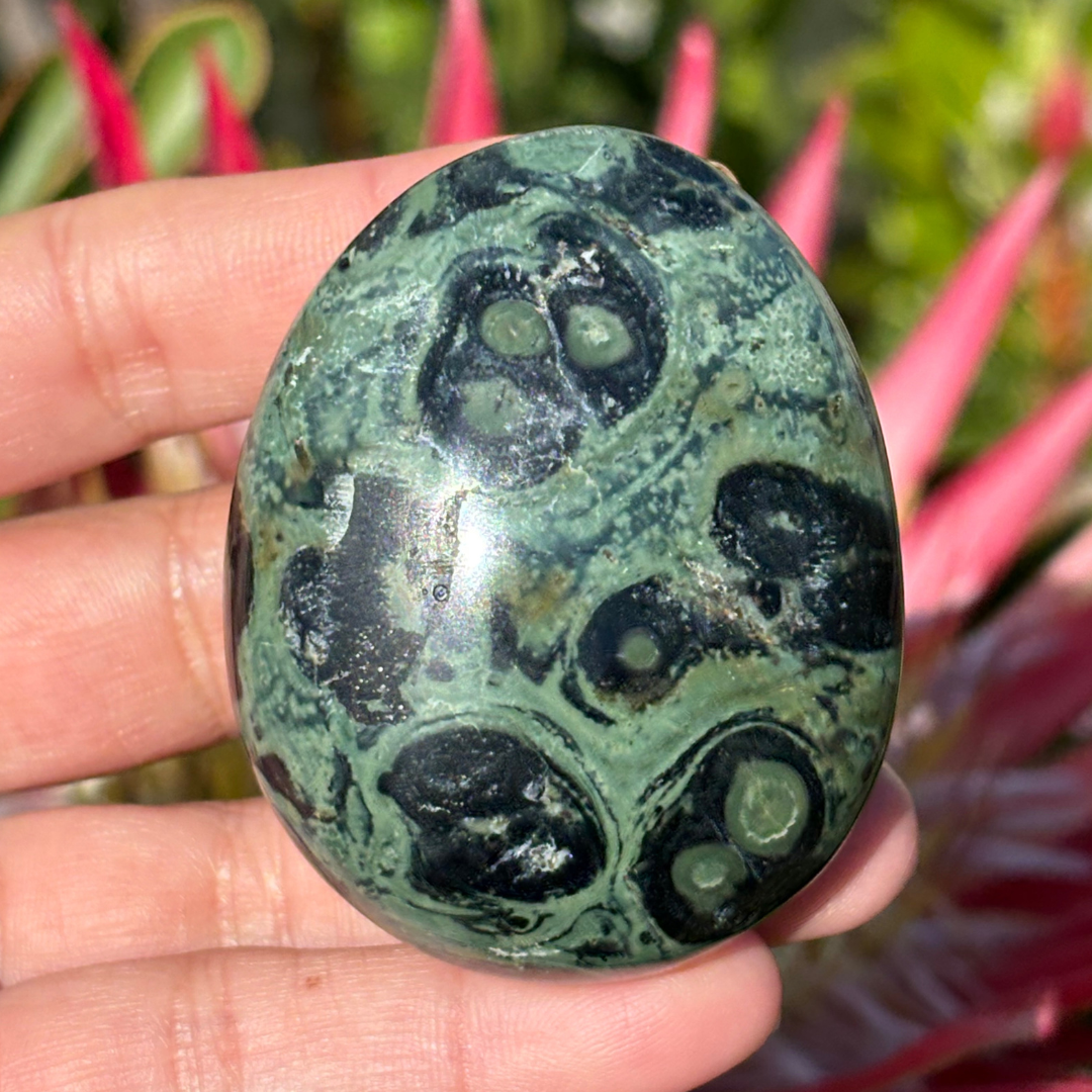 Kabamba/Kambaba Jasper Palm Stone