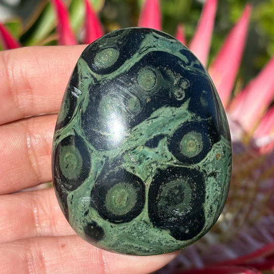 Kabamba/Kambaba Jasper Palm Stone