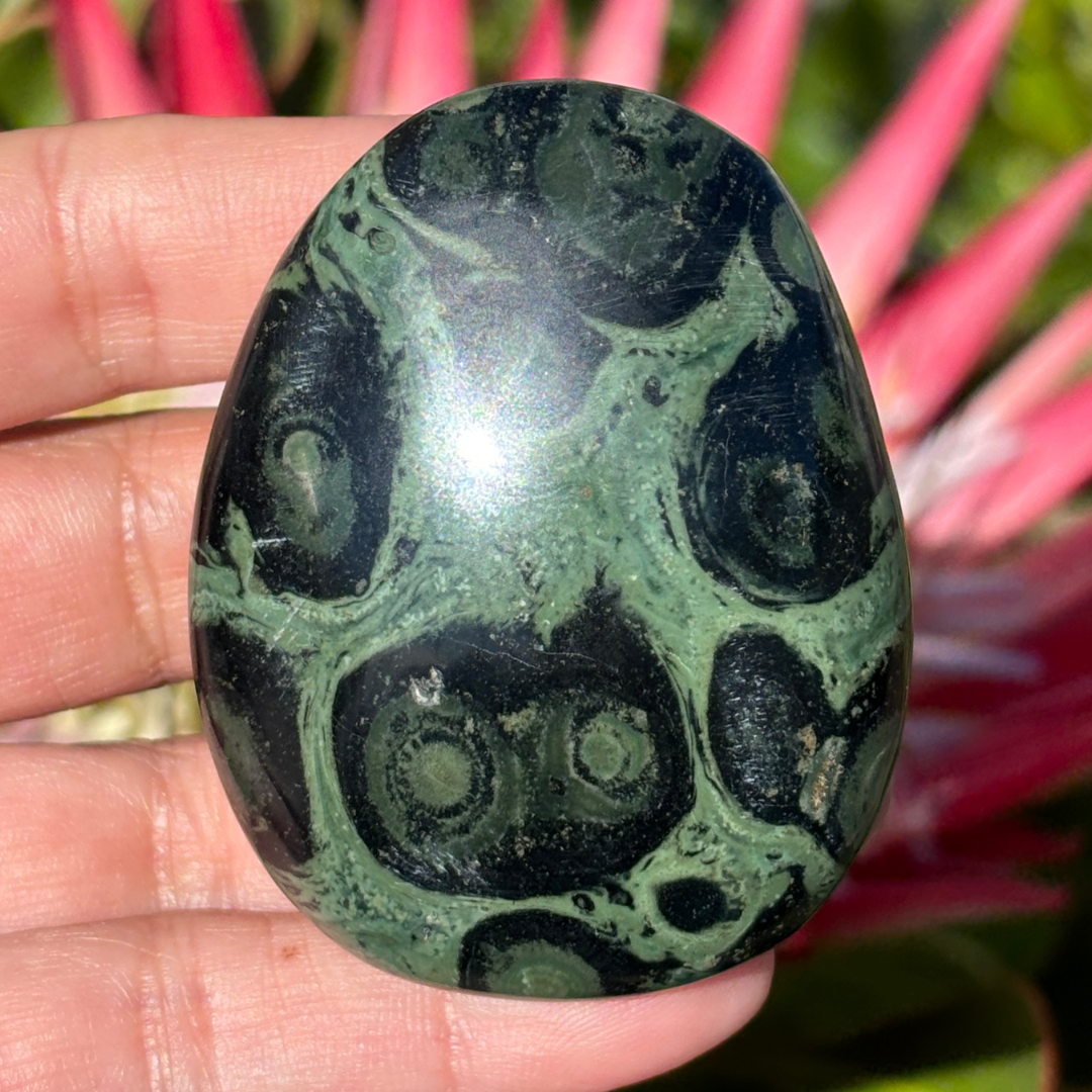 Kabamba/Kambaba Jasper Palm Stone