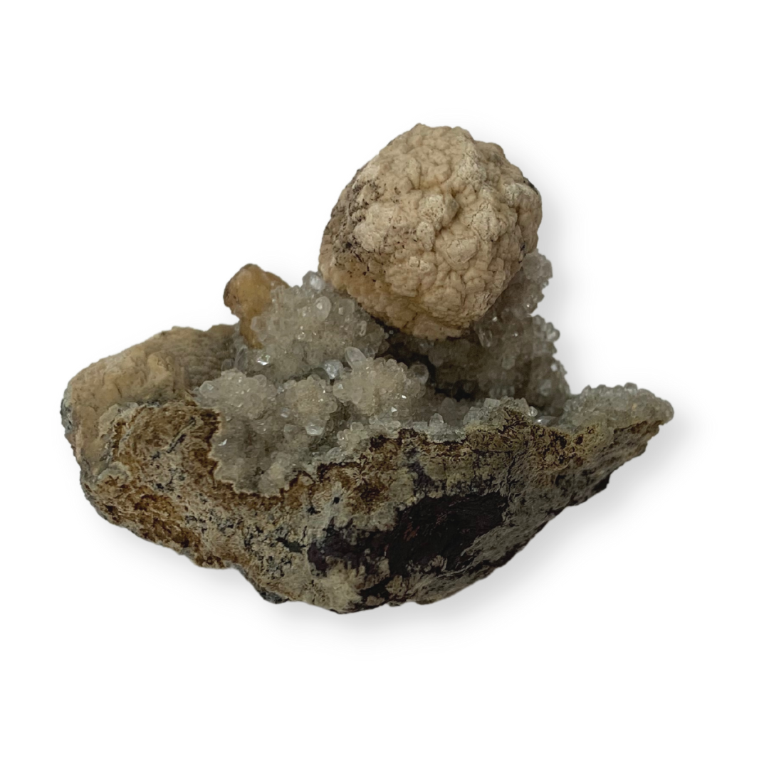 Olmiite / Poldervaartite with Calcite Specimen
