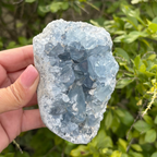 Celestite (aka Celestine) Specimen