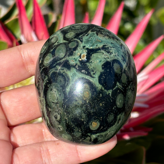Kabamba/Kambaba Jasper Palm Stone
