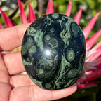 Kabamba/Kambaba Jasper Palm Stone