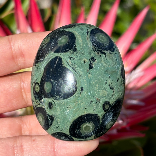 Kabamba/Kambaba Jasper Palm Stone