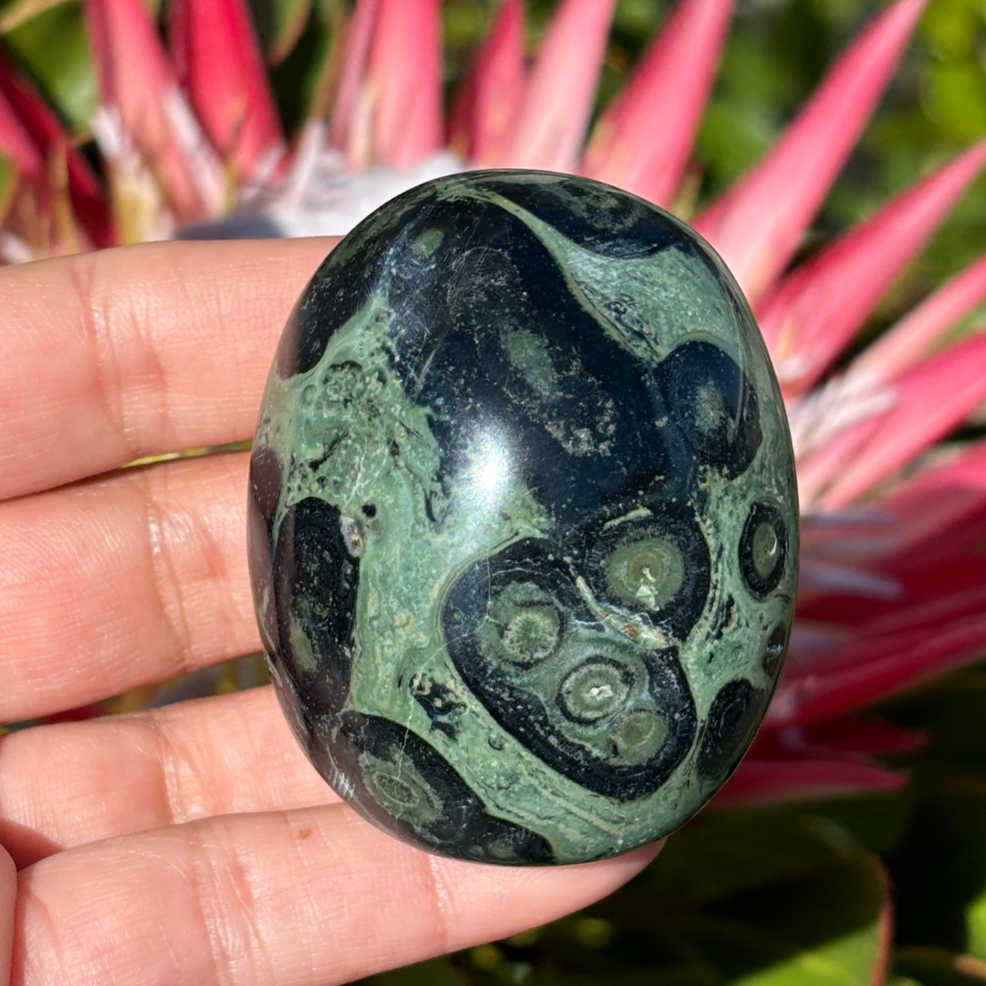 Kabamba/Kambaba Jasper Palm Stone