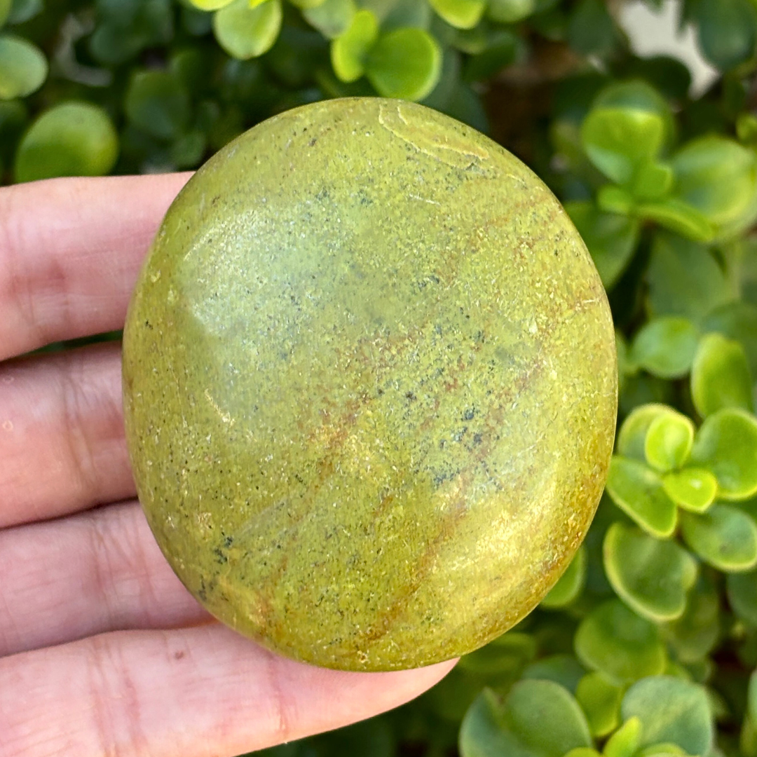 Green Opal Palm Stone