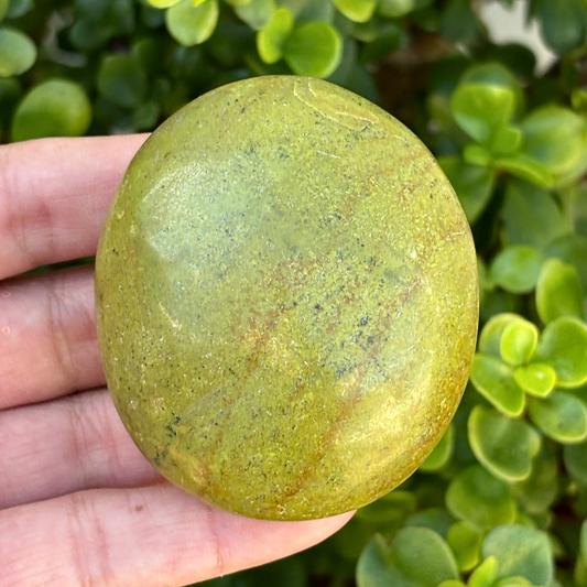 Green Opal Palm Stone