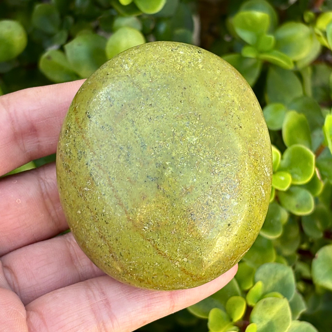 Green Opal Palm Stone