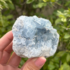 Celestite (aka Celestine) Specimen