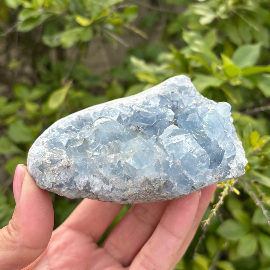 Celestite (aka Celestine) Specimen