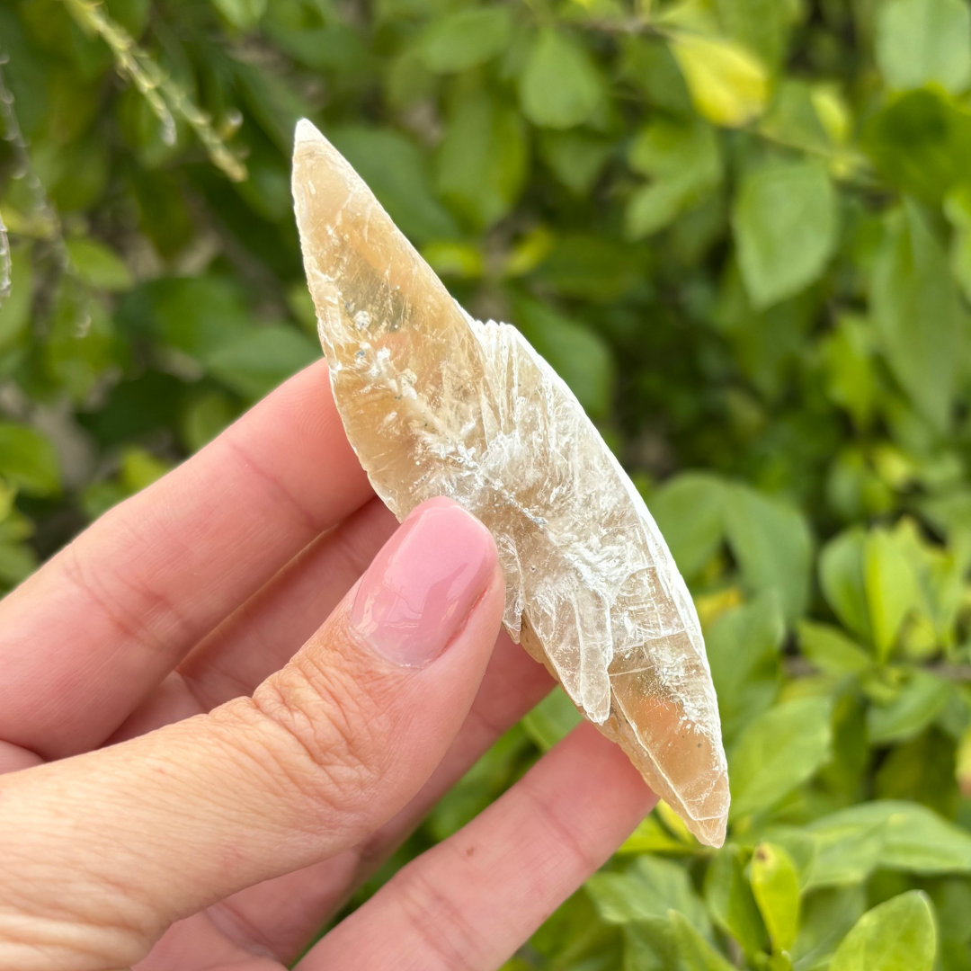 Selenite - Golden (Fluoresces under UV light)