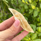 Selenite - Golden (Fluoresces under UV light)