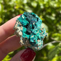Veszelyite on Zincolibethenite Specimen