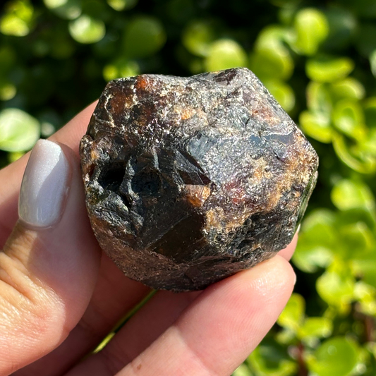 Black Garnet (Melanite) var. Andradite