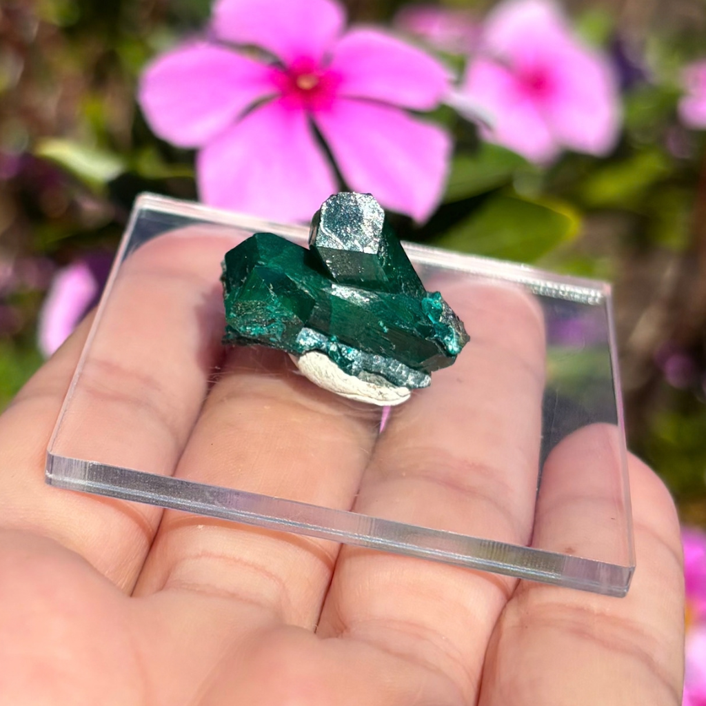 Dioptase Specimen