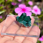 Dioptase Specimen