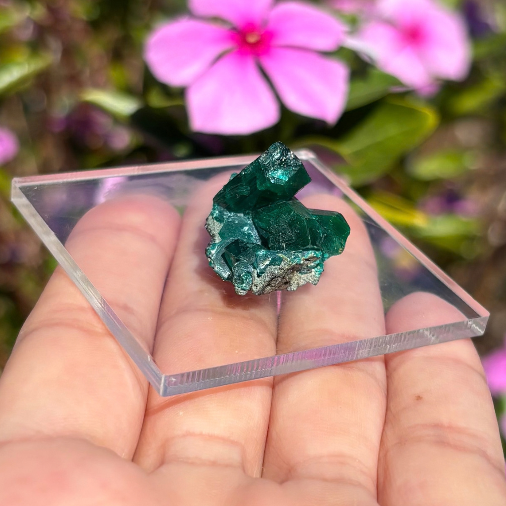 Dioptase Specimen