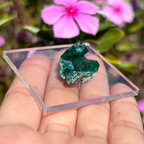Dioptase Specimen