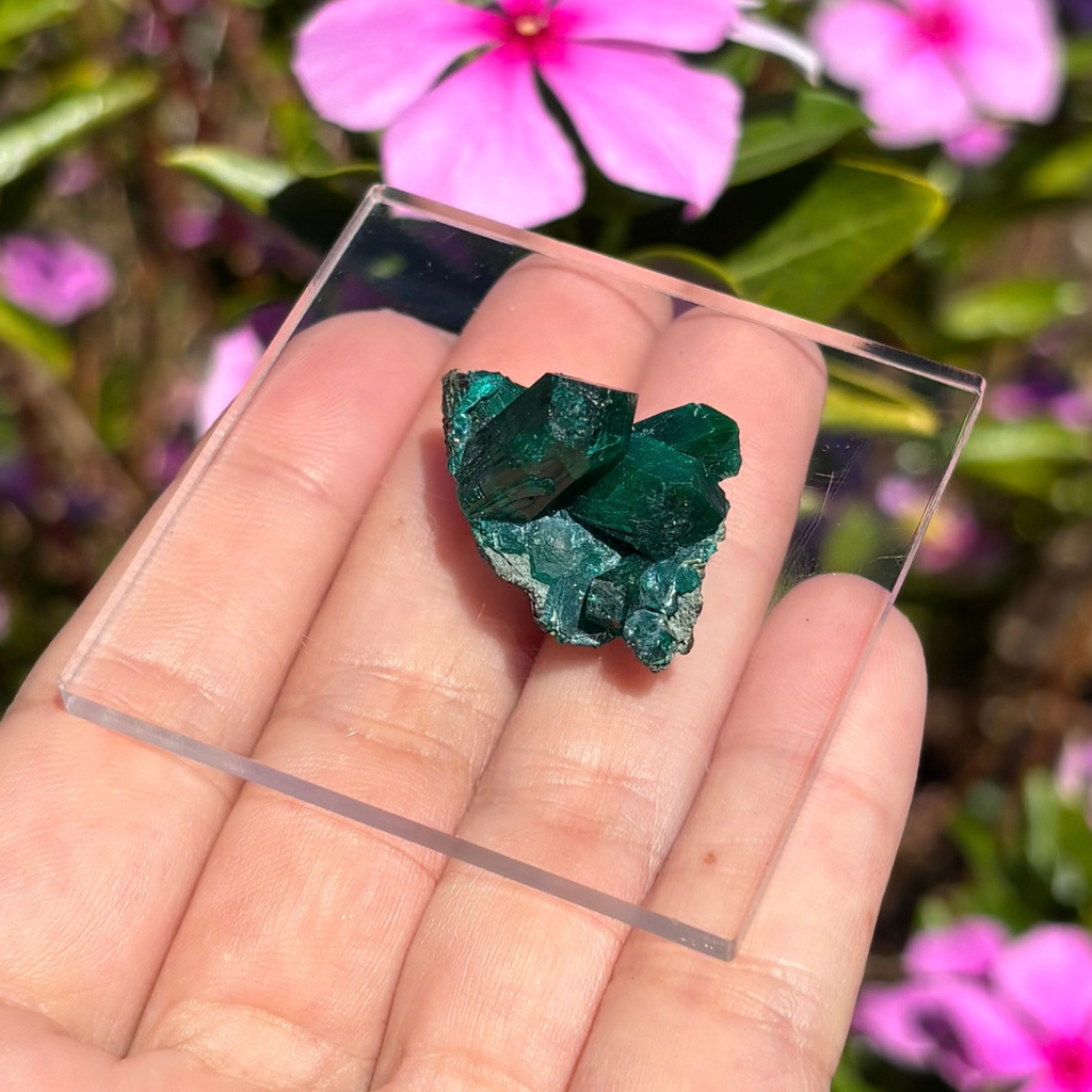 Dioptase Specimen