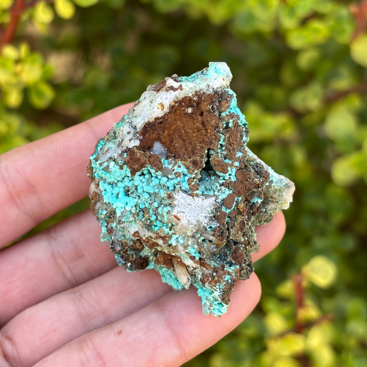 Aurichalcite Specimen
