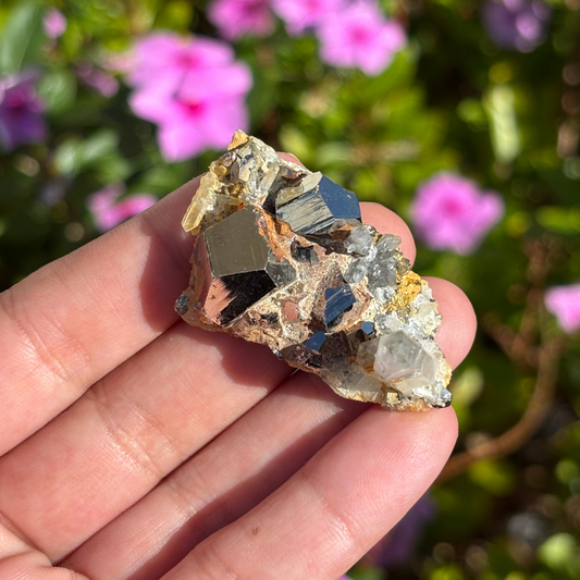 Clear Quartz with Pyrite Cluster