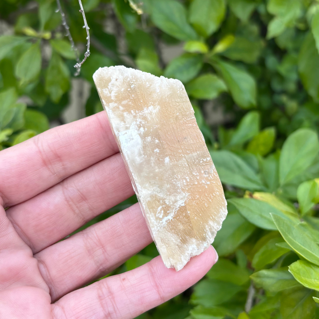 Selenite - Golden (Fluoresces under UV light)