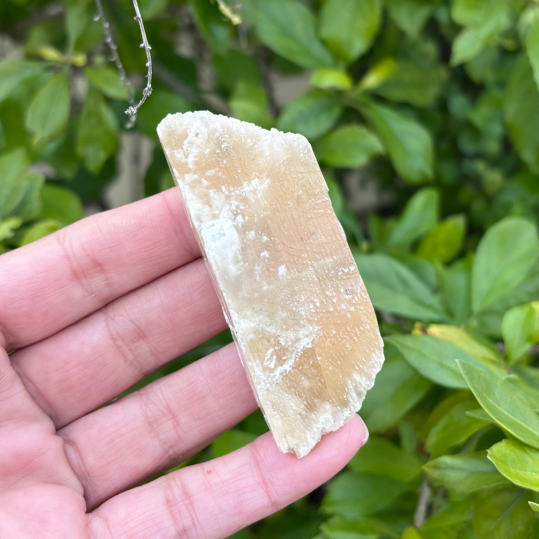 Selenite - Golden (Fluoresces under UV light)