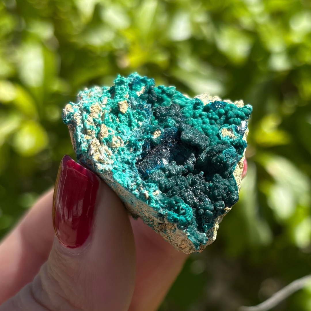 Veszelyite on Zincolibethenite Specimen