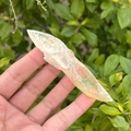 Selenite - Golden (Fluoresces under UV light)