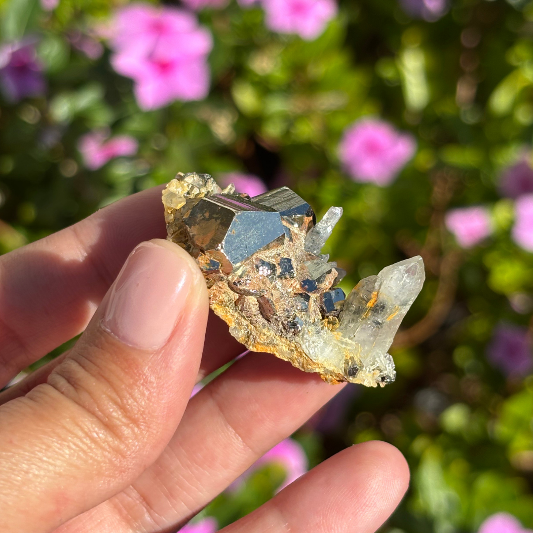 Clear Quartz with Pyrite Cluster