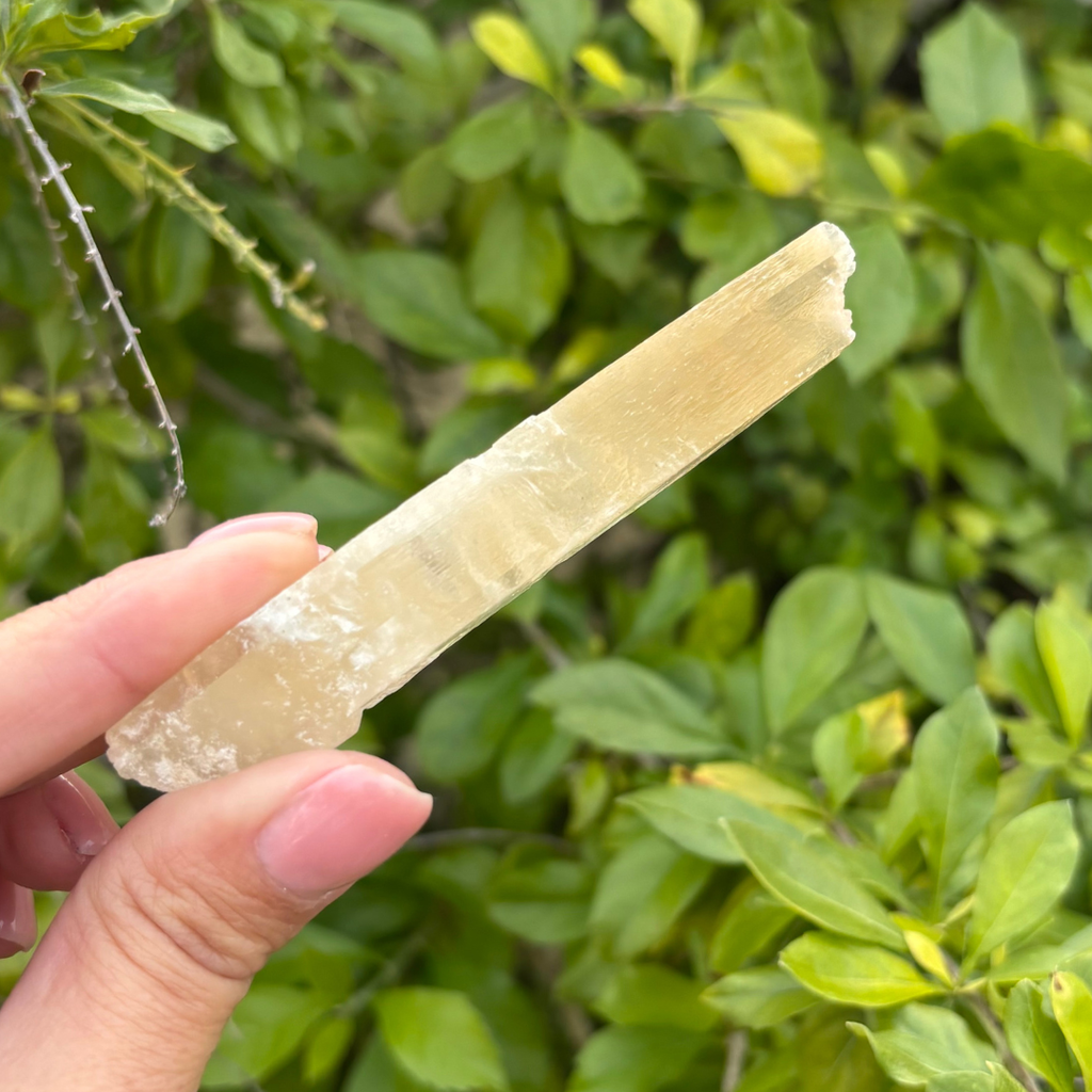 Selenite - Golden (Fluoresces under UV light)