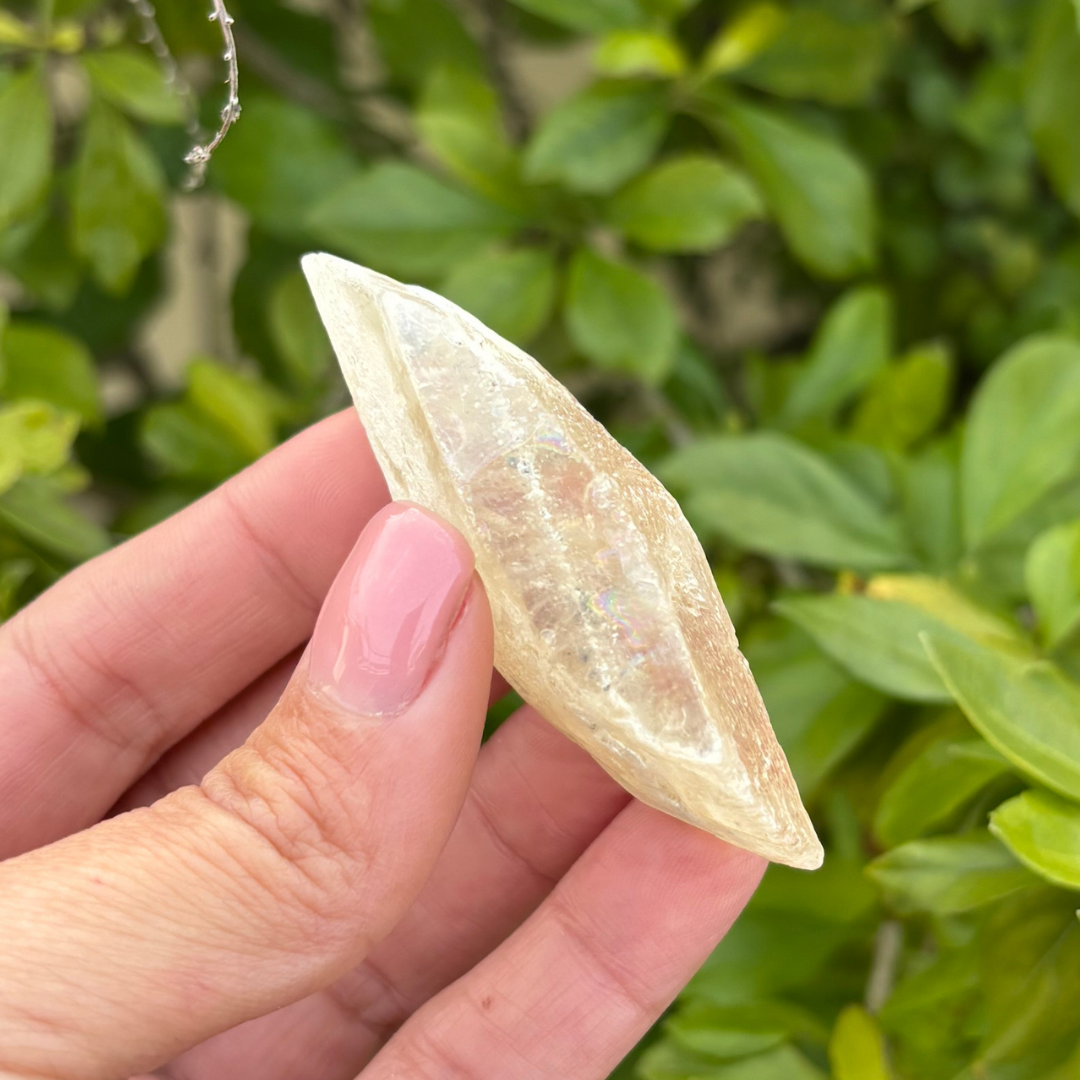 Selenite - Golden (Fluoresces under UV light)