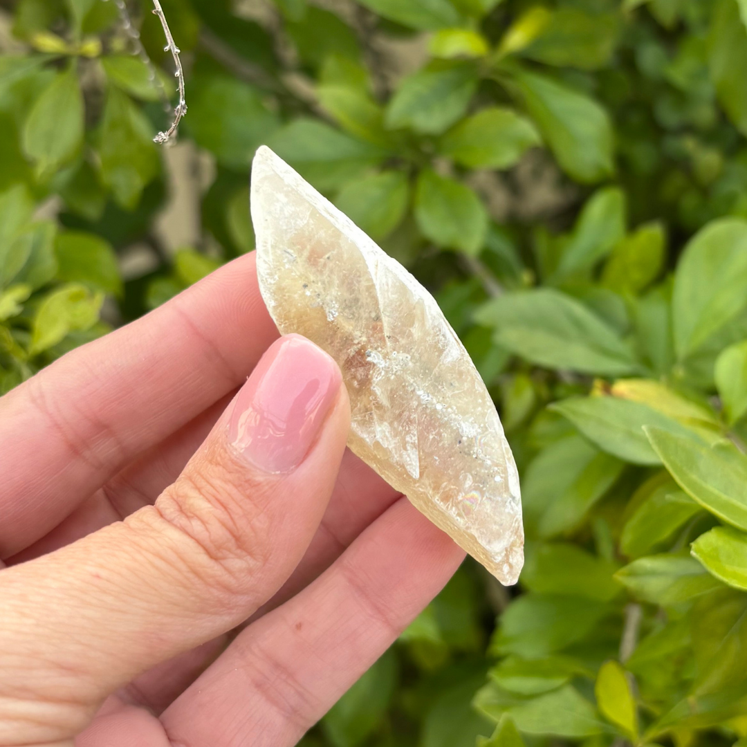 Selenite - Golden (Fluoresces under UV light)