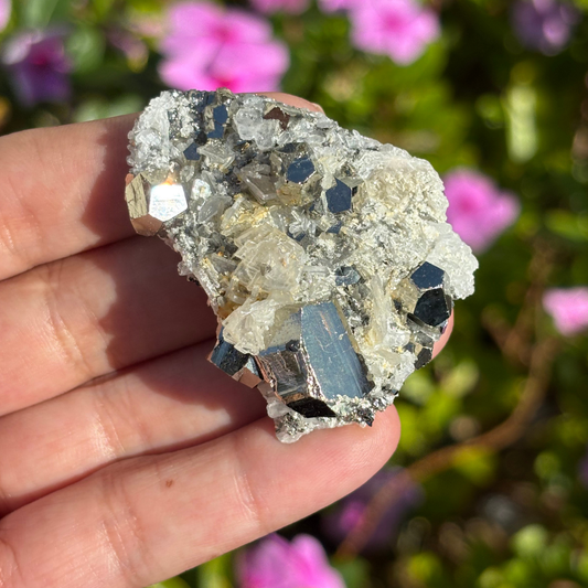 Clear Quartz with Pyrite Cluster