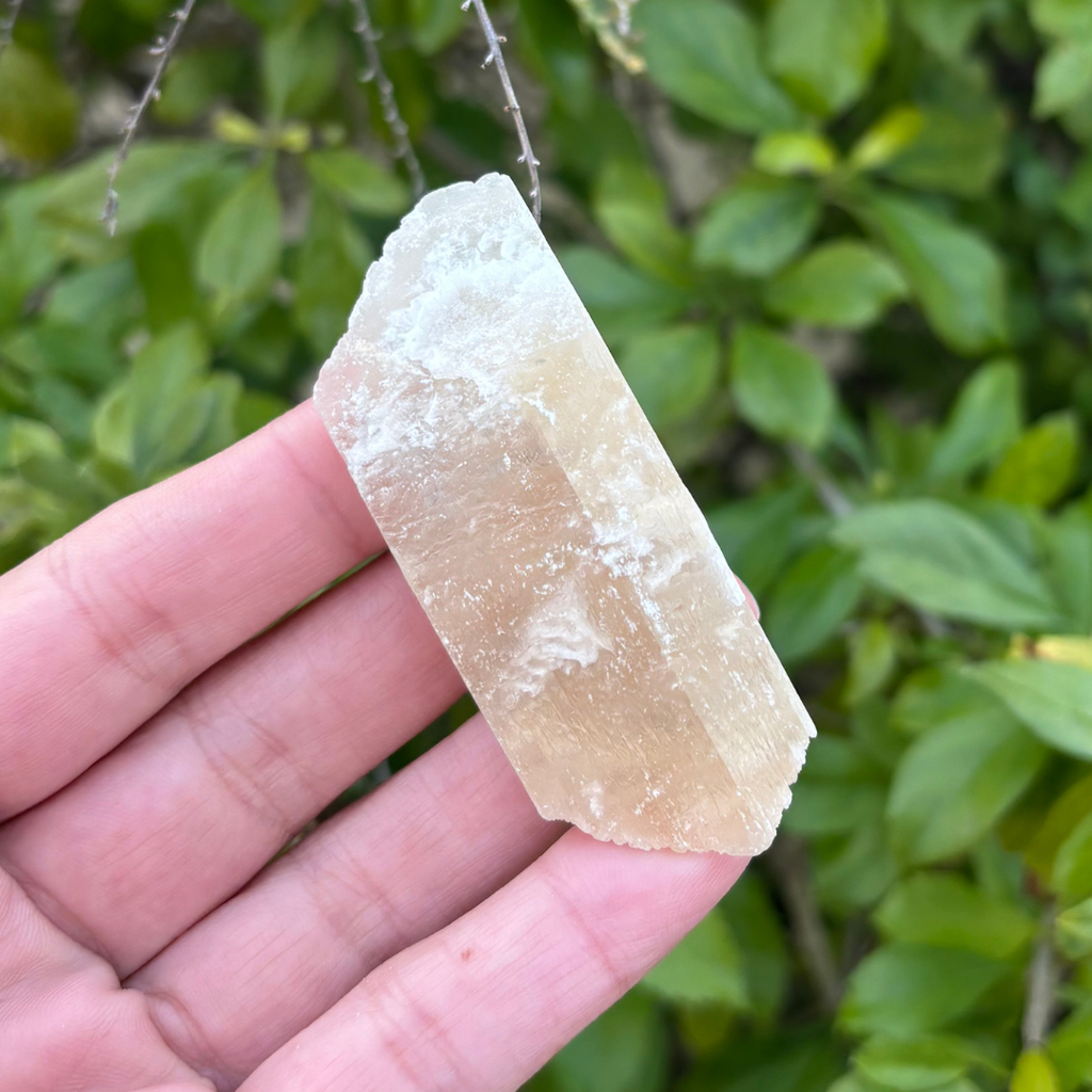 Selenite - Golden (Fluoresces under UV light)