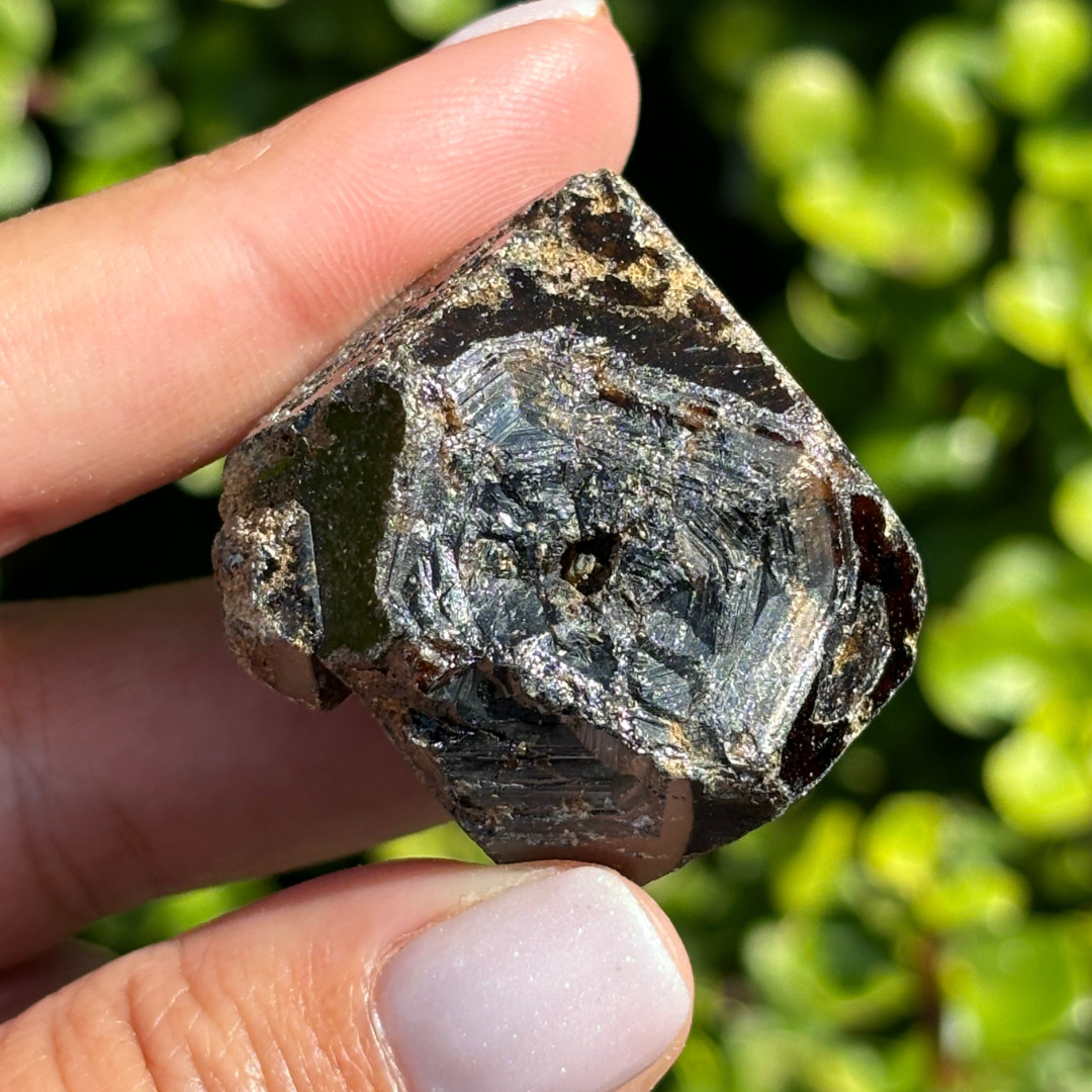 Black Garnet (Melanite) var. Andradite