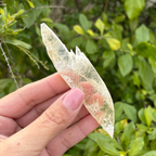 Selenite - Golden (Fluoresces under UV light)