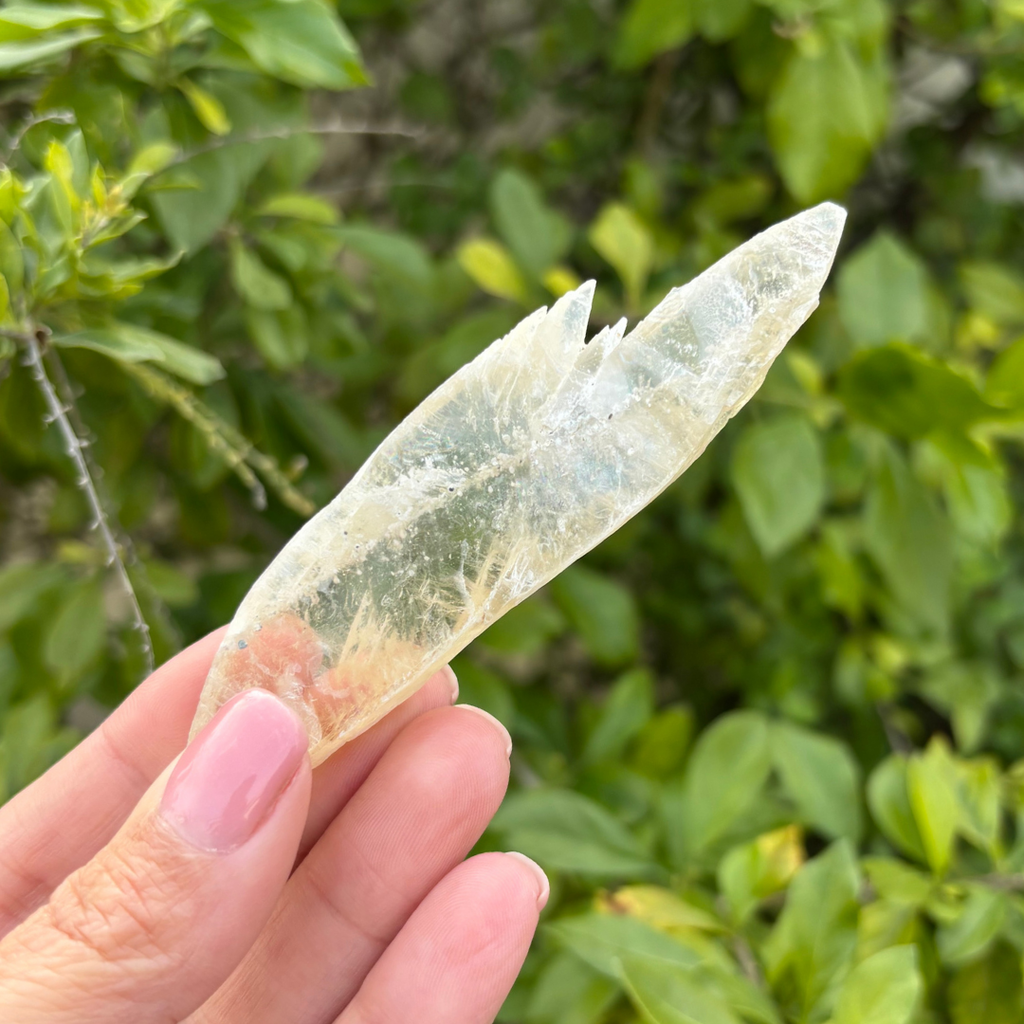 Selenite - Golden (Fluoresces under UV light)