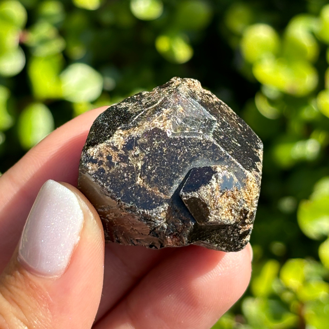 Black Garnet (Melanite) var. Andradite