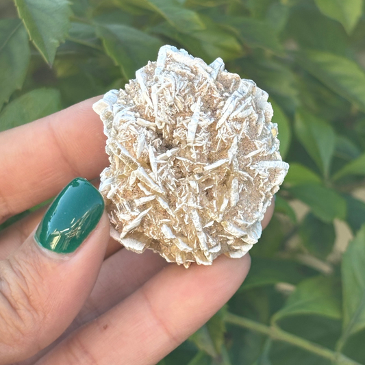 Desert Rose Selenite Specimen