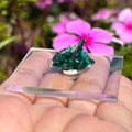 Dioptase Specimen